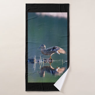 Canard colvert au coucher du soleil