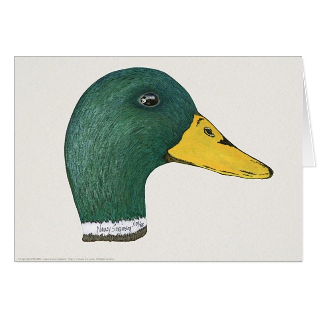 Canard de Mallard (Drake), aquarelle (Devant horizontal)