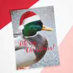 Canard de Mallard portant la carte de vacances Red<br><div class="desc">Une carte de voeux fantaisiste pour Noël qui présente l'image colorée d'un canard de Majard à tête verte portant un chapeau de Père Noël rouge. Sélectionnez une carte de style mat ou brillant. Un design animal amusant pour la saison des fêtes !</div>