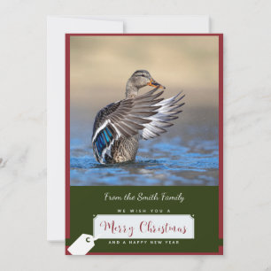 Canard de Mallard sur une carte de Noël