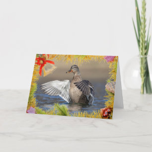 Canard de Mallard sur une carte de Noël
