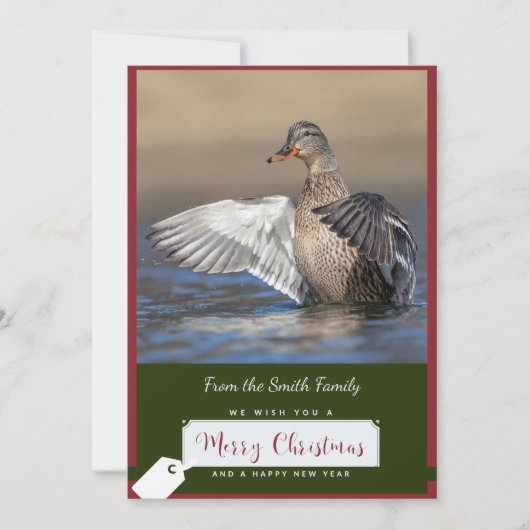 Canard de Mallard sur une carte de Noël (Devant)