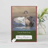 Canard de Mallard sur une carte de Noël (Debout devant)