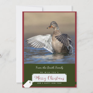 Canard de Mallard sur une carte de Noël