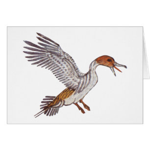 Canard égyptien antique