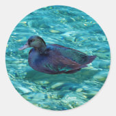 Canard en ébène - Stickers Enveloppe (Devant)