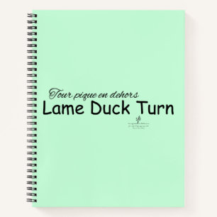 Canard Lame Tournez la menthe Vert et noir Carnet