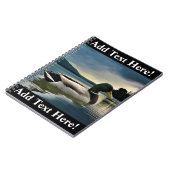 Canard Majard Sur Le Carnet Du Lac (Côté gauche)