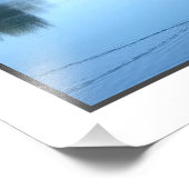 Canard pacifique dans l'eau photo imprimer (Coin)