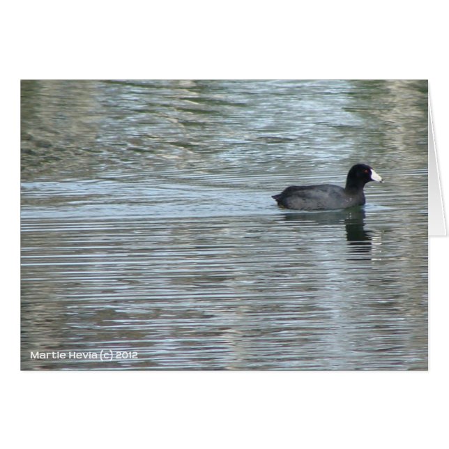 Canard solitaire II (Devant Horizontal)