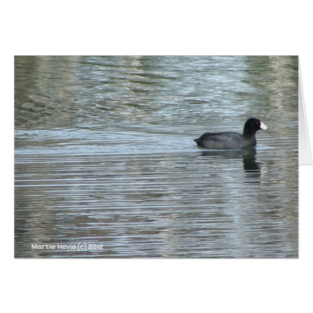 Canard solitaire II (Devant horizontal)