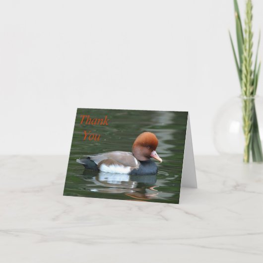 canard sur la rivière merci note (Devant)