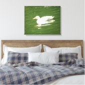 Canard sur la toile d'eau Imprimer (Insitu(Chambre))