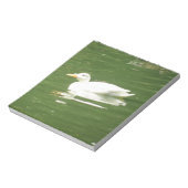 Canard sur le Bloc-notes de l'eau (Tourné)