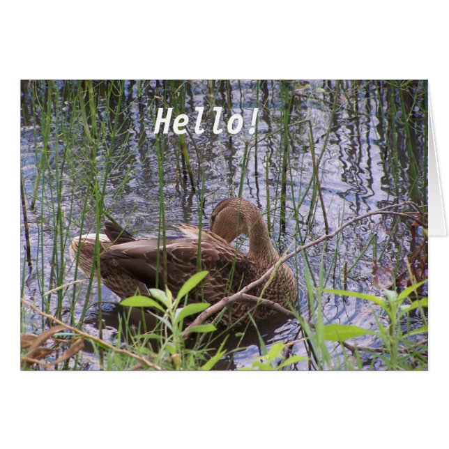 Canard sur l'eau (Devant Horizontal)