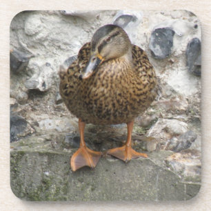 Canard sur un Dessous de verre de liège