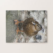 Canard sur un puzzle (Horizontal)