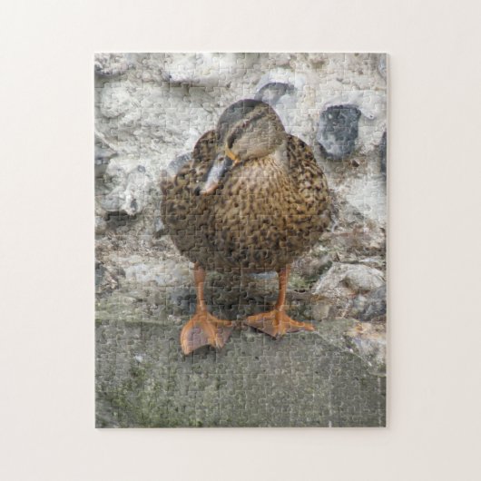 Canard sur un puzzle (Vertical)