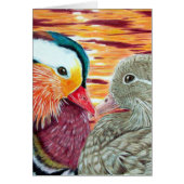 Canards amoureux (Devant)