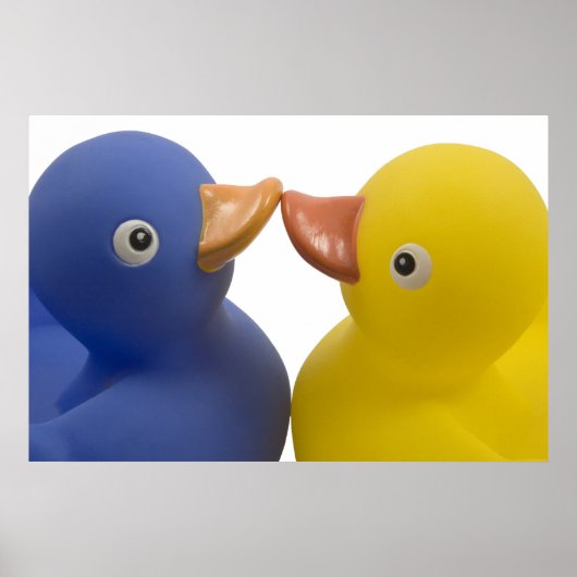 Canards amoureux - affiche (Devant)