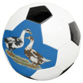 Canards Ancona Pair (3/4)