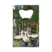 Canards blancs, nénuphars, quenouilles, rive du la (Devant)