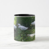 Canards blancs sur une tasse de rampe (Centre)