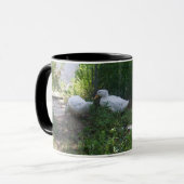 Canards blancs sur une tasse de rampe (Devant gauche)