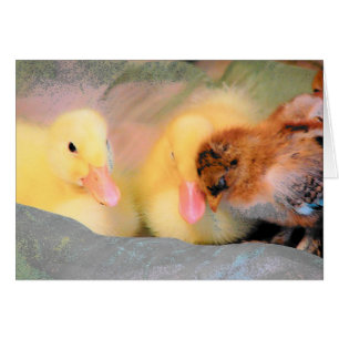Canards caricaturaux et poussins