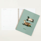Canards colverts (Devant avec enveloppe)