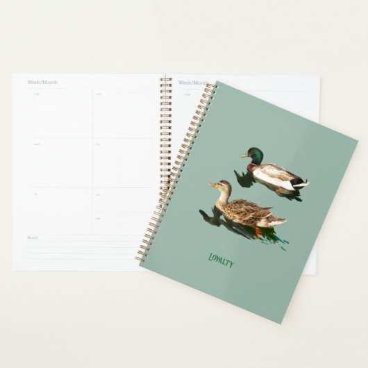 Canards colverts (Devant avec enveloppe)