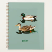 Canards colverts (Devant)