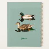 Canards colverts (Dos)