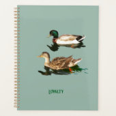 Canards colverts (Devant)