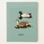 Canards colverts (Dos)