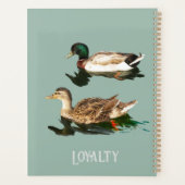 Canards colverts (Dos)