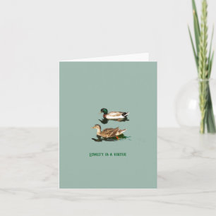 Canards colverts