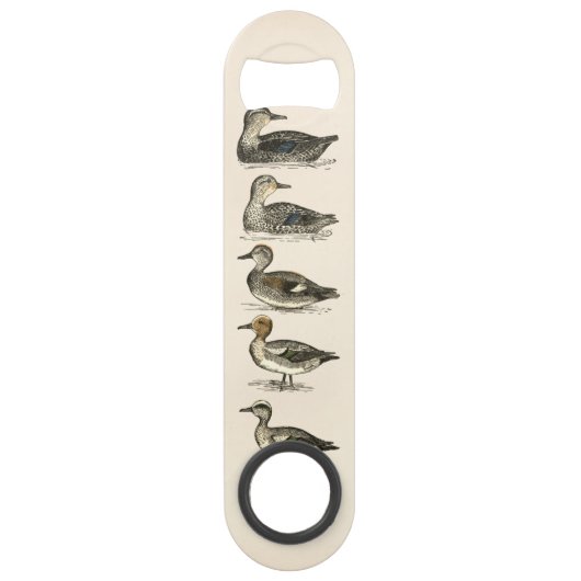 Canards d'Amérique du Nord (Dos)