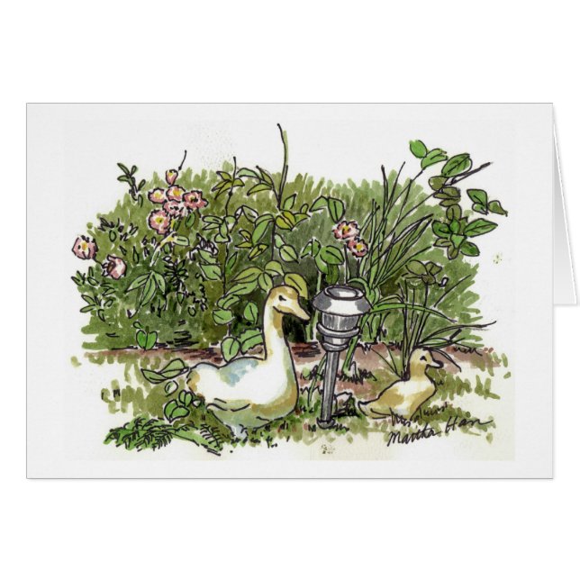 Canards dans des cartes d'un jardin (Devant horizontal)