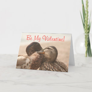 Canards dans la carte drôle de Valentines d'amour