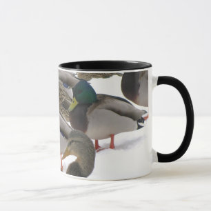 Canards dans la tasse d'hiver