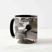 Canards dans la tasse d'hiver (Devant gauche)
