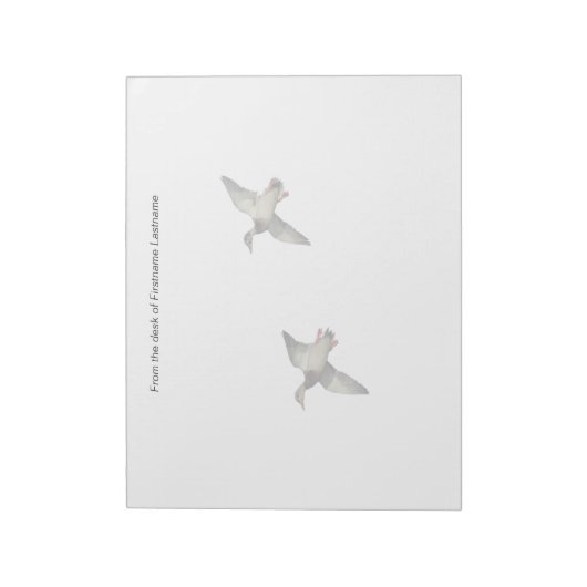 Canards dans le Bloc-notes de vol (Tourné)