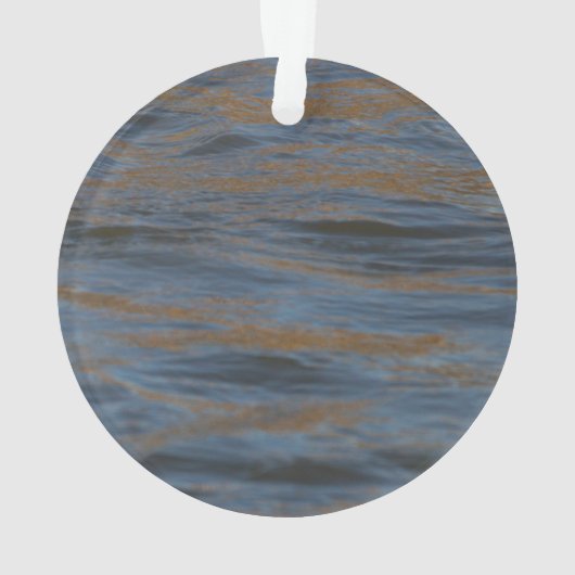 Canards dans l'eau (dos)