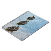 Canards dans un Carnet de rangée (Côté gauche)