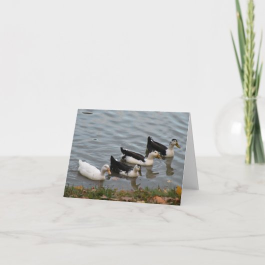 Canards dans une carte de note de ligne (Devant)