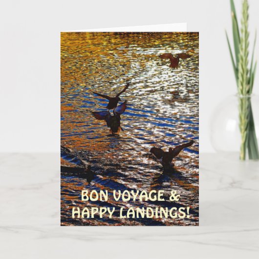 CANARDS de MALLARD débarquant la carte de voeux de (Devant)