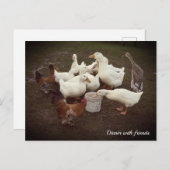 Canards et poulets Drôle Dîner Heure Carte postale (Devant / Derrière)
