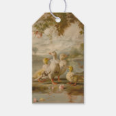 Canards - Étiquettes cadeaux (Devant)