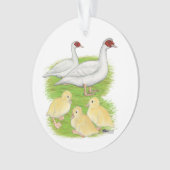 Canards Famille de Muscovy Blanc (devant)